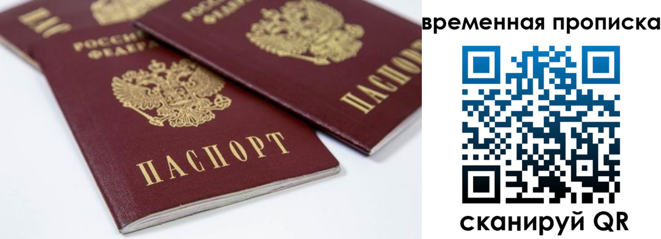 прописка для школы в Рузе